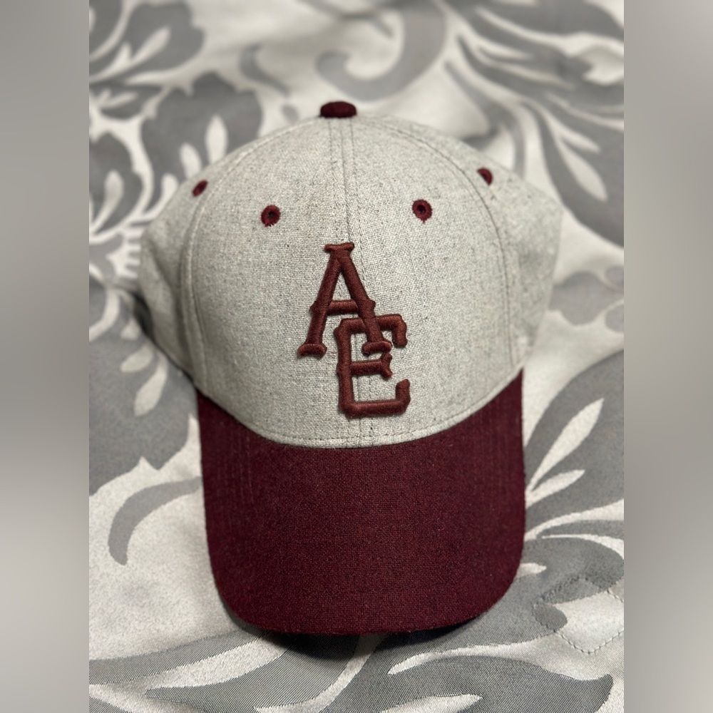 American Eagle Outfitters Fitted Wool Hat/Cap L/XL